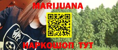Альфа ПВП Будённовск