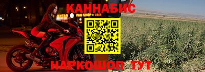 Альфа ПВП Будённовск
